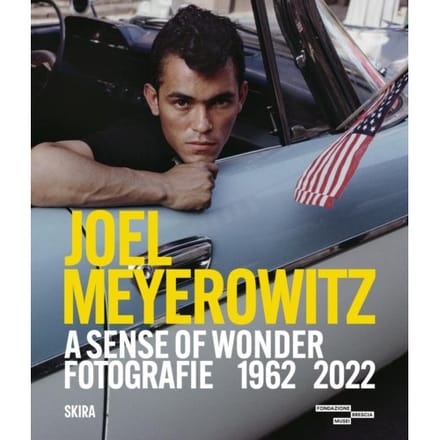 Joel Meyerowitz: A Sense Of Wonder (Bilingual Edition)
