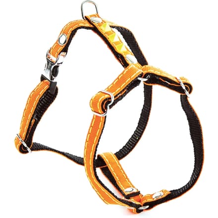 Fluo Harnas voor Hond Martin Sellier