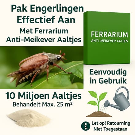 Ferrarium aaltjes tegen Meikevers - voor 25m² grond