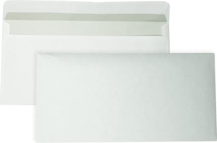 EA5/6 Enveloppen - 110 x 220 mm - 250 Stuks - Zelfklevend met plakstrip - 80 gram - DULA