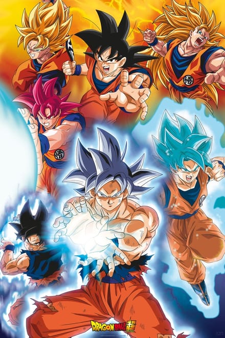 Poster Dragon Ball - Super Gokus transformations 61x91,5cm