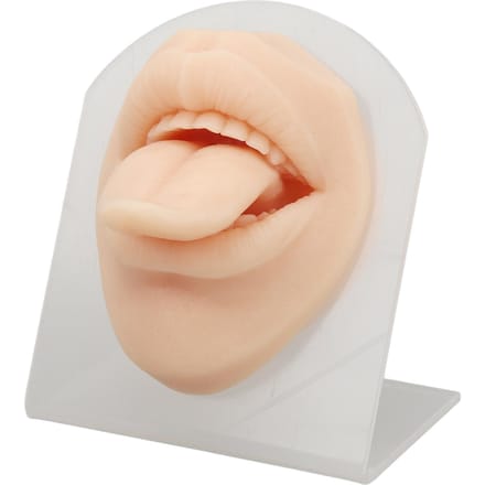 Modèle de langue 3D en silicone souple avec support, présentoir à bijoux réutilisable, modèle de langue pour piercing beige