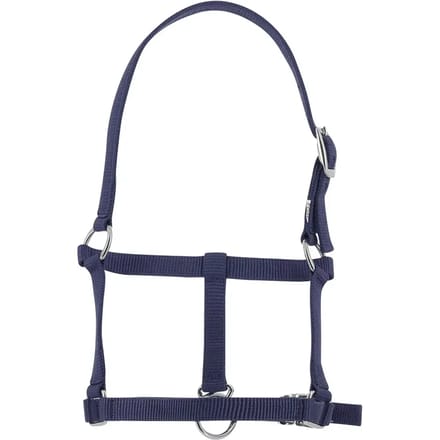 Halster voor veulen Riding World