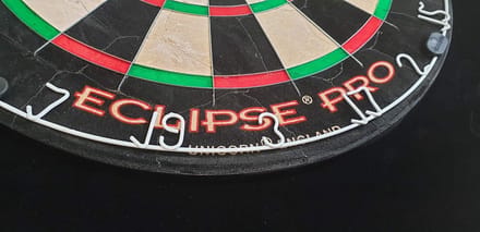 Steeldart Set Professioneel Dartbord met Surround en Darts