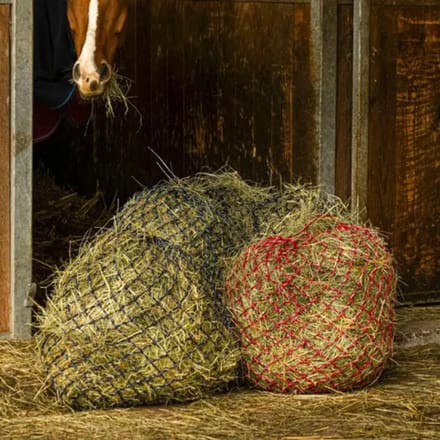 Hooi net Hippotonic Zari