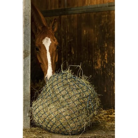 Hooi net Hippotonic Zari