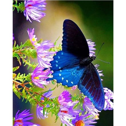 Peinture Diamant Papillon Point de Croix Strass Ronds Complets Broderie Diamant Décor Autocollant 20X30CM blue