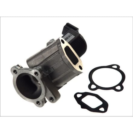 EGR-klep PIERBURG 7.00020.24.0
