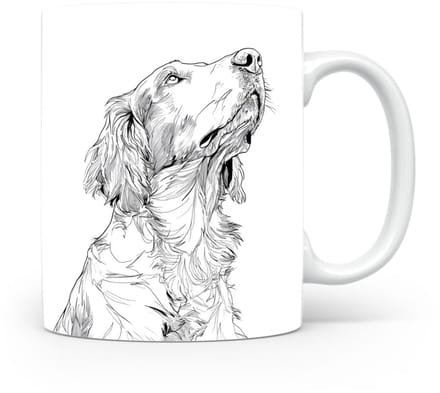 Beker Engelse Setter