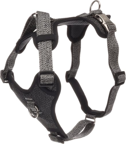 Flamingo - Hond Harnas Mago Donkergrijs L 45-71cm 50-80cm 25mm