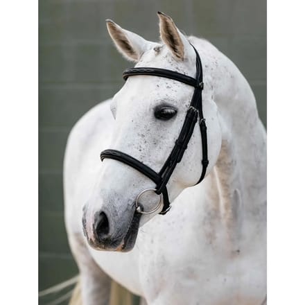 Bridons voor paard met neusriem LeMieux