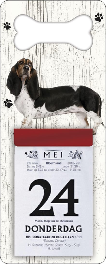 Scheurkalender 2027 Hond: Teckel