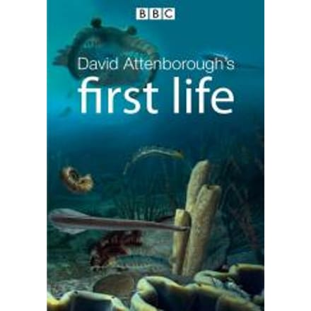 David Attenborough's First Life - BBC Earth - Deel 2 - DVD