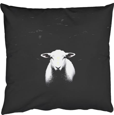 Sierkussens - Kussentjes Woonkamer - 40x40 cm - Schapen - Wit - Duisternis