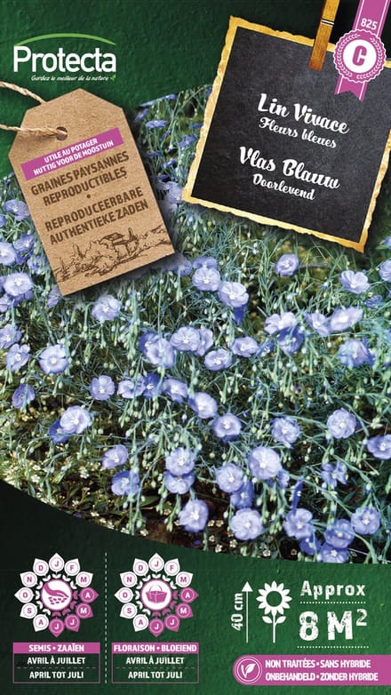 Protecta Bloemen zaden: Vlas Blauw Doorlevend