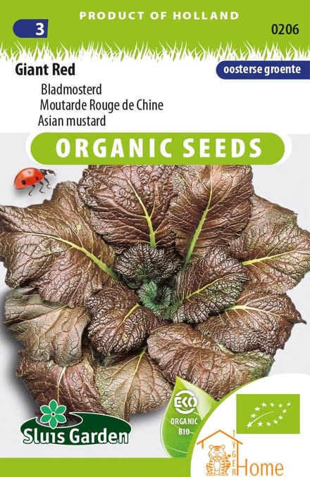 Sluis Garden - Bladmosterd Giant Red Biologisch