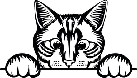 Auto raam sticker - auto tuning - muursticker grappige gluurkat - poes -