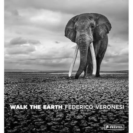 Walk The Earth - Federico Veronesi