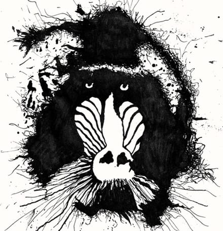 Feral Ohms - Feral Ohms (CD)