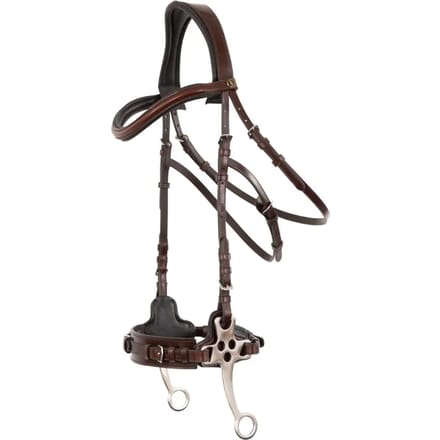 Anatomische hoofdstellen BR Equitation Lydney
