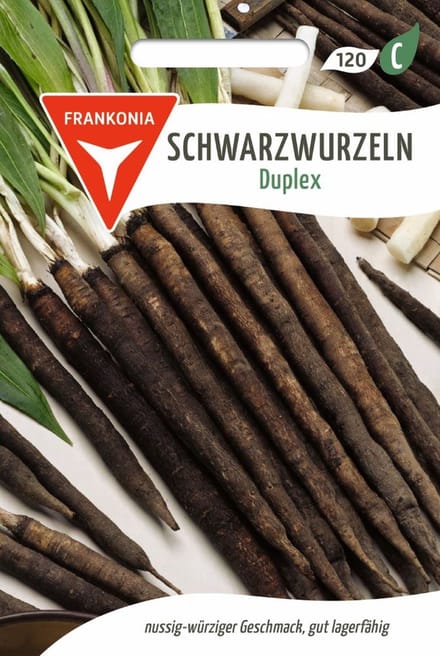 Zwarte schorseneer, Duplex - Groentezaden, zaden