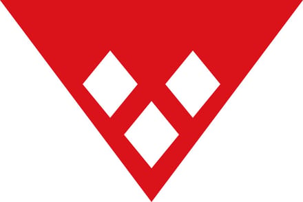 Vlag Rijkevorsel 150x225cm
