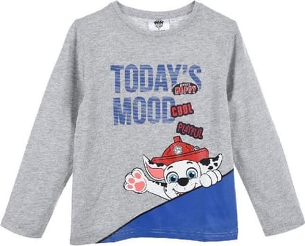 Longsleeve shirt PAW Patrol - Marshall - jongens - maat 110