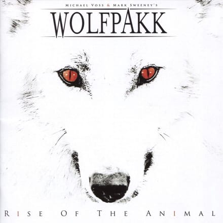 Rise of the Animal
