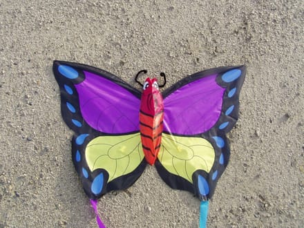 Didak Beach Pinky Winky Vlieger - 52x73 cm