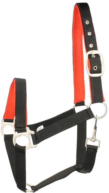 Epplejeck Halster Epplejeck Esprit Zwart-rood