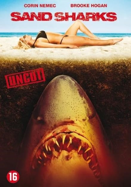 Sand Sharks