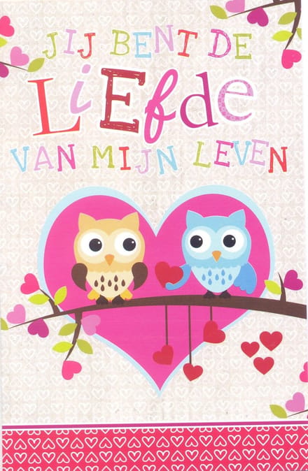 Wenskaart Valentine Jij bent de Liefde van mijn Leven - D9285