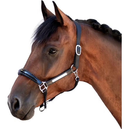Leren halster voor paard Bridlery Eternity Warmblut