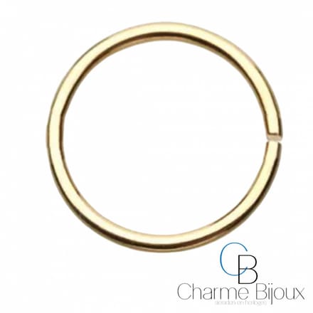 Piercing oor Ring -Goudkleurig- 10 mm - Charme Bijoux
