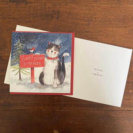 Alex Clark Kerstkaarten Santa's Stop Kat