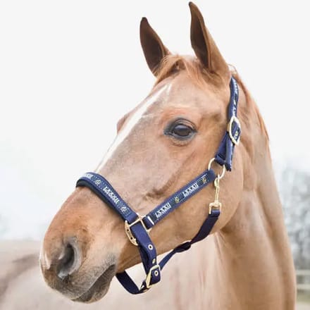 Halster voor paarden Horze Hamptons