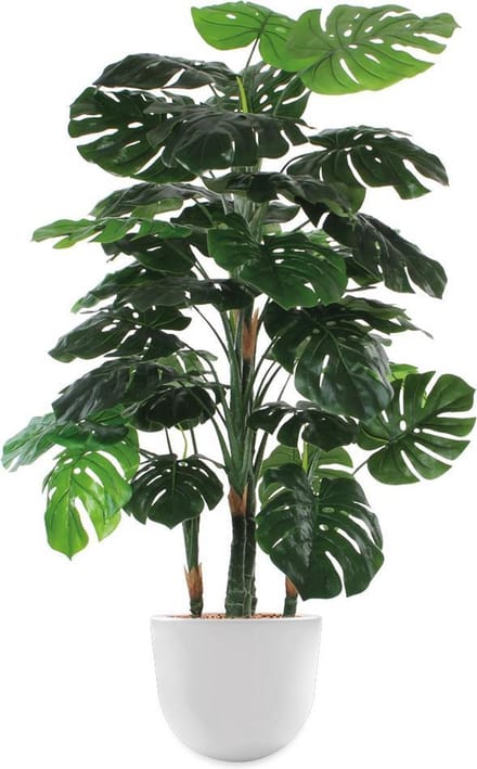 HTT - Kunstplant Monstera in Eggy wit H145 cm