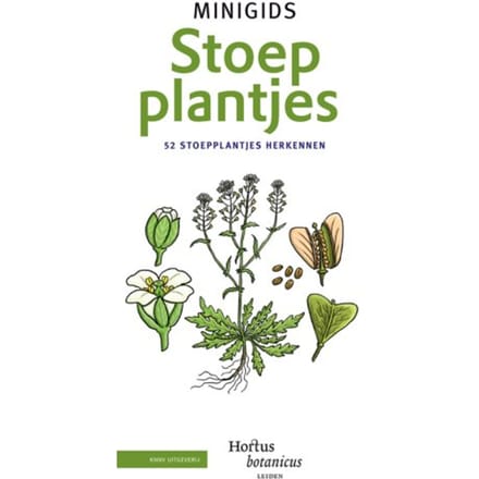 Set Minigids Stoepplantjes - Minigids - Hortus Botanicus Leiden