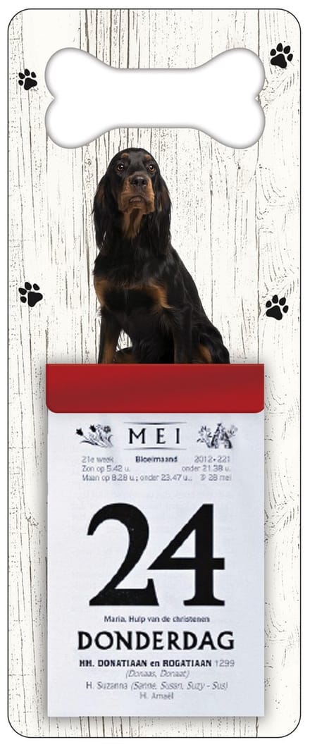 Scheurkalender 2027 Hond: Gordon Setter