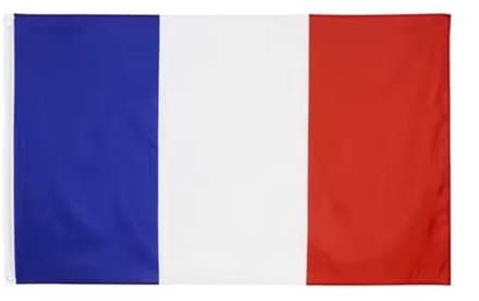 Go Go Gadget - Franse vlag - 90x150cm - Frankrijk