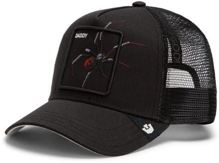 Goorin Bros. Over The Line Spider Trucker cap - Void