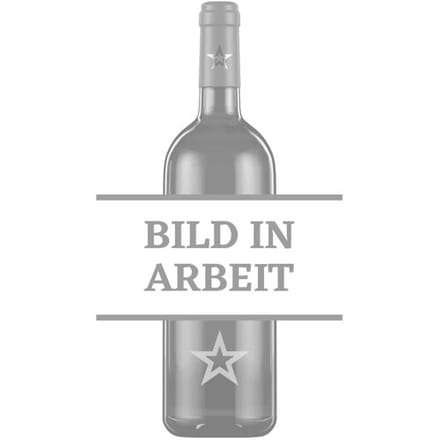 Pernod Paris 40% Vol. 0,7l