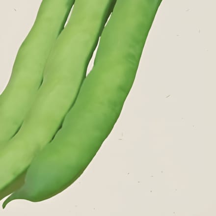 3 sets - Tuinboon Witkiem Zaden Vicia Faba Biologisch Eenjarig