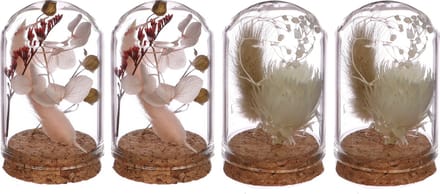 Comforder Droogbloemen Boeket in Mini vaas - Set van 4 Gedroogde Bloemen met Glas