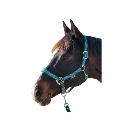 Halster en touwset voor paarden Canter Sonoma