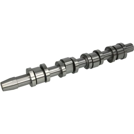 Nokkenas  AMC 647229