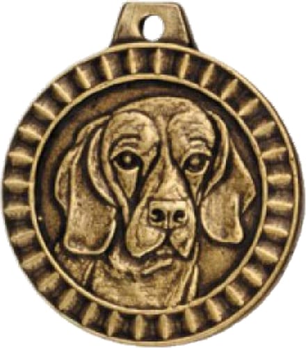 Hondenpenning Rashond Beagle