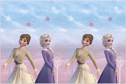 Wefiesta - Frozen Spirit - Plastic tafelkleed 120 x 180 cm