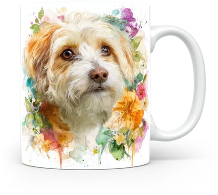 Beker Dandie Dinmont Terriër