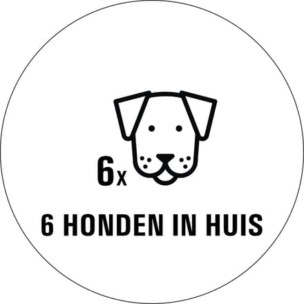 Honden in huis sticker - 80 x 80 mm 6